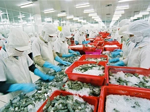 Thủy sản Việt Nam xuất sang Trung Quốc tăng mạnh