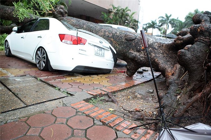 Bão số 3 tấn công Hà Nội: Vừa xuống xe, cây đổ đè bẹp rúm ô tô 