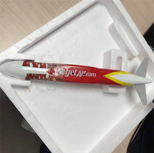 Phi công vận chuyển chất nghi ma túy trong máy bay mô hình