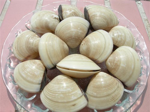  Nên cảnh giác khi ăn một số loài hải sản 