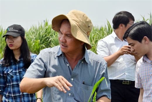 Hoàng Anh Gia Lai của bầu Đức báo lỗ hơn 1.000 tỷ đồng