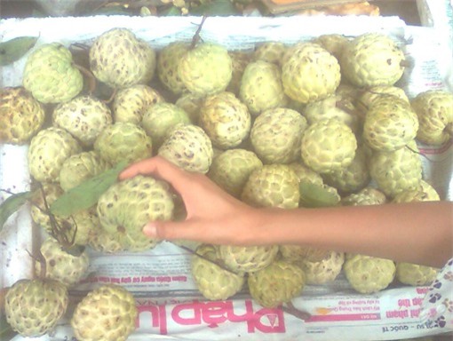 Na "ngậm hóa chất" để ép chín nhanh