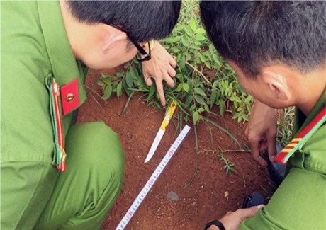 Người phụ nữ chết tình nhân trong đêm vì bị bạt tai