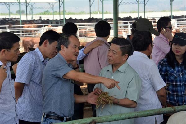 Công ty nông nghiệp của bầu Đức cũng báo lỗ hơn 500 tỷ đồng