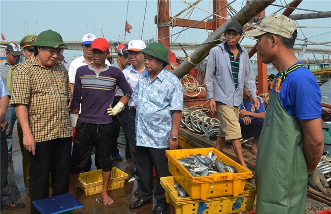 Môi trường biển miền Trung đang phục hồi, các chất độc giảm mạnh