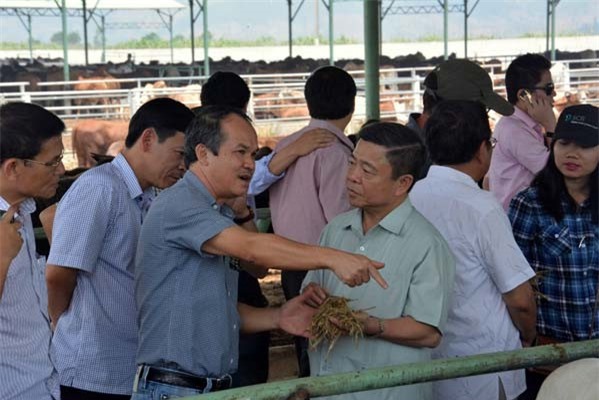 Nợ phải trả của Công ty bầu Đức lên mức hơn 33.000 tỷ đồng