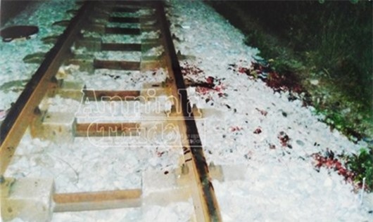 Sốc: Thuê người chặt chân tay để nhận 3,5 tỷ đồng bảo hiểm