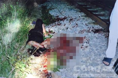 Chặt chân tay đòi bảo hiểm: Báo chí quốc tế đưa tin rầm rộ