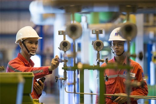 Manh mún trong quản trị doanh nghiệp kéo dài từ lâu