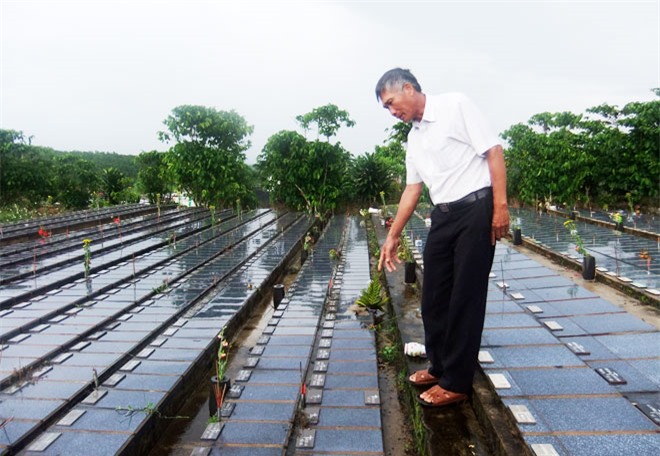Nghẹn lòng câu chuyện về nghĩa trang đặc biệt của 7.000 hài nhi