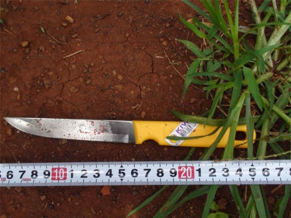 "Máy bay bà già" đâm chết "phi công trẻ" mê game