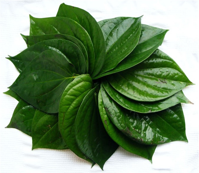 5 mẹo chống say tàu xe dịp nghỉ lễ 2/9 