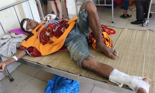 Đi tìm bò lạc, người đàn ông bị lợn rừng cắn bất tỉnh