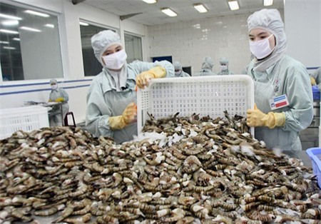 Cơ hội mới cho tôm Việt Nam thâm nhập thị trường Australia