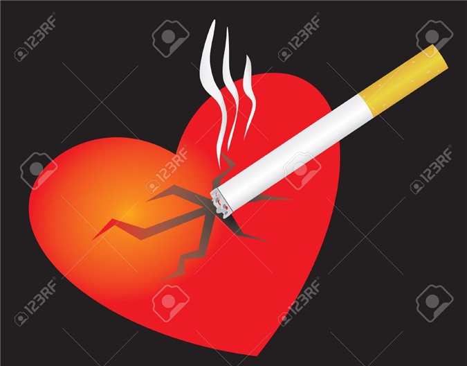 Nguyên nhân gây ra bệnh tim mạch và những điều bạn cần chú ý