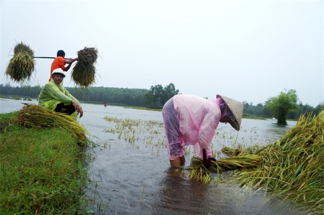 Nhiều tỉnh miền Trung ứng phó áp thấp nhiệt đới