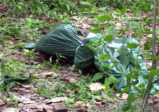 Đang cưa cây ở đình thần, bỏ chạy thục mạng vì phát hiện xác chết