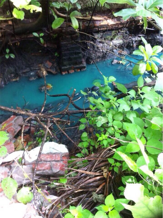 Cụm CN Phú Minh gây ô nhiễm: Công ty Việt Hà làm ngơ, chính quyền thờ ơ?