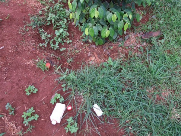 Bàng hoàng xác người phụ nữ trong vườn với con dao trên ngực