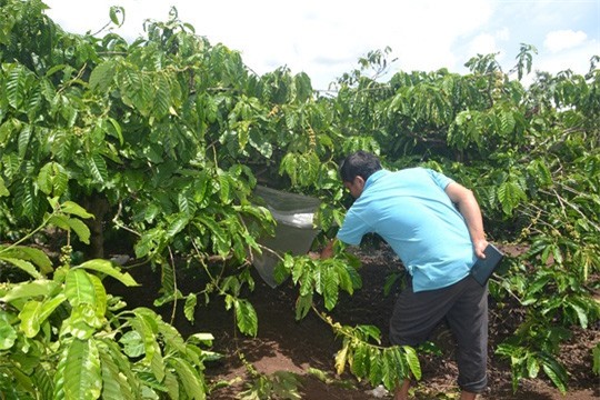 Bé gái 7 tuổi bị hiếp dâm giết hại dã man ở Đắk Lắk