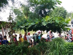 Bàng hoàng người đàn ông treo cổ chết trong nhà hoang