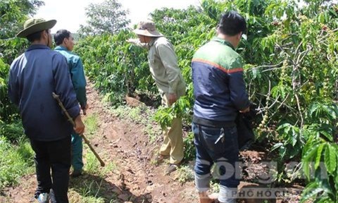 Hàng chục người vây bắt kẻ cưỡng hiếp, giết hại bé gái 7 tuổi