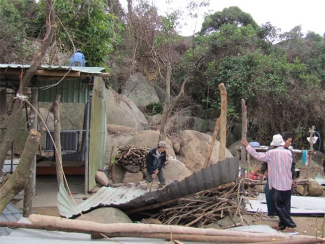Khởi tố vụ án phá rừng tại Sơn Trà, Đà Nẵng