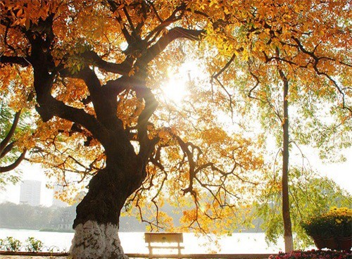 Dự báo thời tiết 20/9: Bắc Bộ nắng nóng, cao nhất 34oC