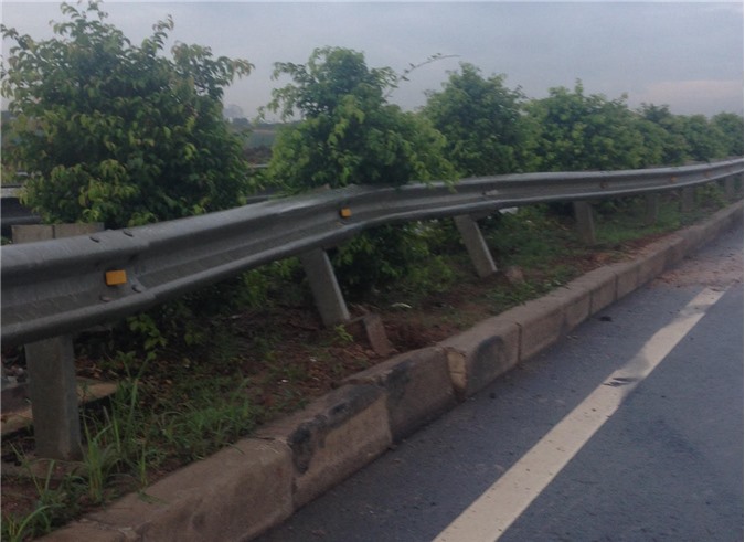 Tìm chủ 2 con trâu bị tông chết trên cao tốc TP.HCM - Long Thành