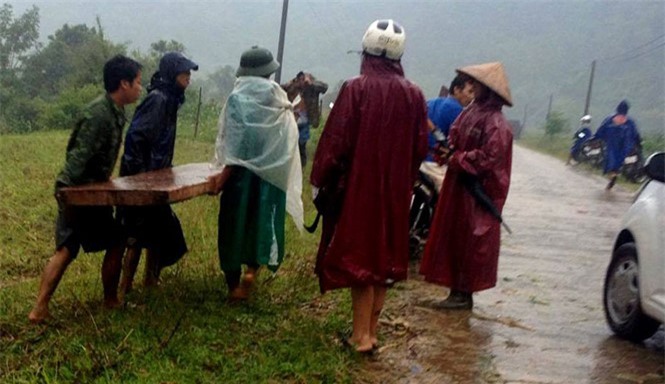 Lâm tặc ngang nhiên hành hung kiểm lâm, cướp gỗ lậu