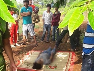 Bàng hoàng thi thể thanh niên treo cổ trên cành cây