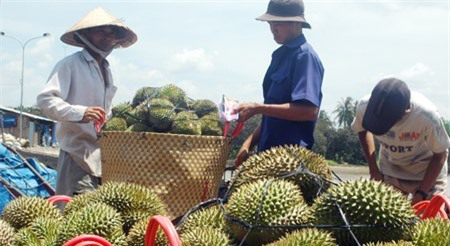 Cung không đủ cầu, rau quả trong nước tăng giá chóng mặt