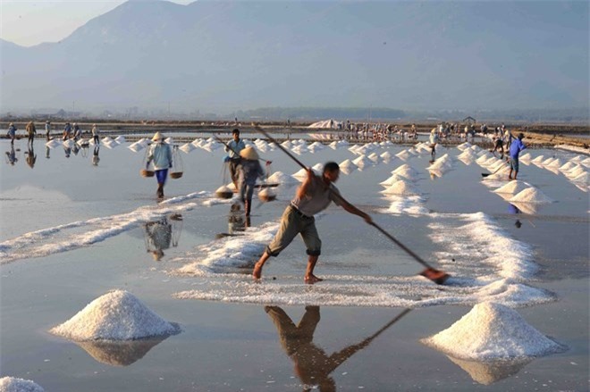 Phó thủ tướng yêu cầu xử lý bất cập việc mua tạm trữ muối cứu diêm dân