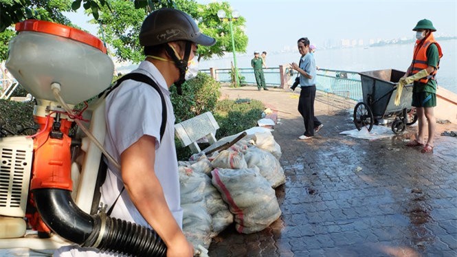 Cá chết ở Hồ Tây: Cử 10 đội phòng chống dịch xử lý môi trường