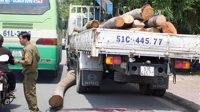 Xót thương bé trai 15 tuổi bị thân dừa đè chết thảm