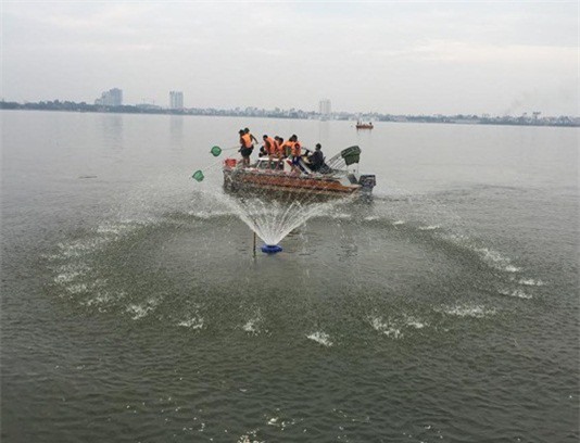 Cá chết ở Hồ Tây: Không còn xác cá trên mặt hồ