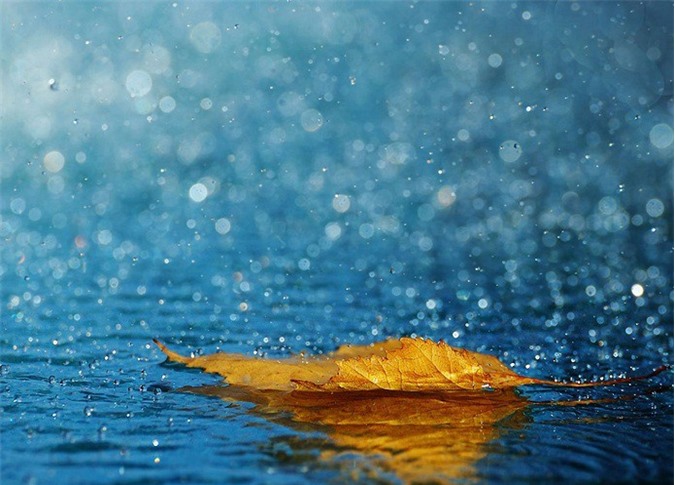 Dự báo thời tiết: 2 ngày tới cả nước mưa to, có dông