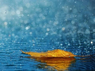 Dự báo thời tiết: 2 ngày tới cả nước mưa to, có dông