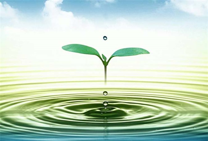 Một công ty cấp thoát nước chào bán 22,99% vốn điều lệ