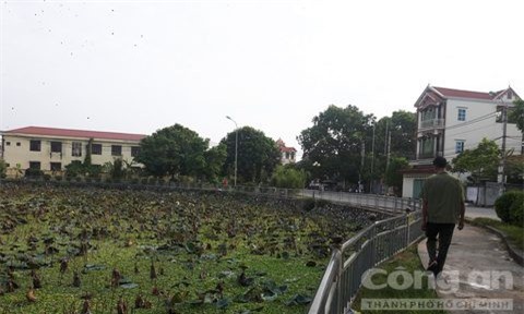 Bị côn đồ truy đuổi, nam thanh niên chết đuối bất thường dưới hồ sen