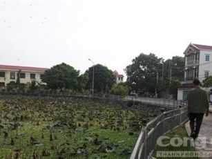 Bị côn đồ truy đuổi, nam thanh niên chết đuối bất thường dưới hồ sen