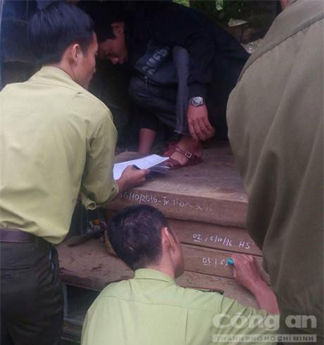 Quảng Bình: Bắt giữ xe biển xanh vận chuyển gỗ lậu trái phép