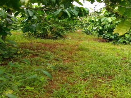 Thanh niên chết không nguyên vẹn sau tiếng nổ lớn 