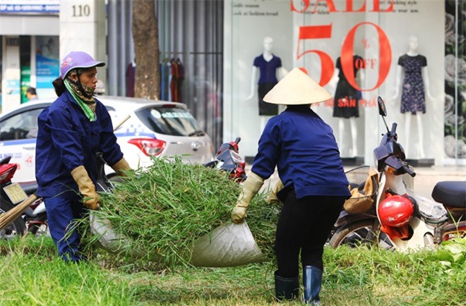 Hà Nội cắt cỏ trở lại sau 3 tháng tạm dừng