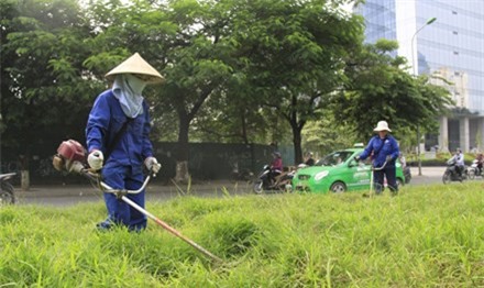 Hà Nội thay đổi tần suất cắt cỏ theo khu vực
