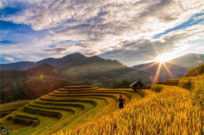 Lên đỉnh đèo Khau Phạ ngắm mùa vàng trên nương