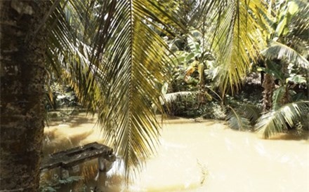 Nghịch tử sát hại, vùi xác mẹ vì không có tên trong di chúc