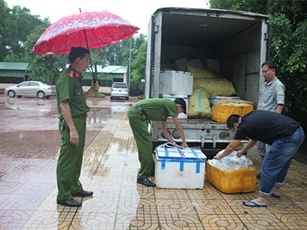 Phát hiện 2,7 tấn nội tạng bốc mùi đang được đưa đi tiêu thụ