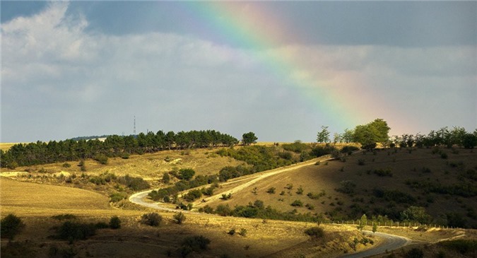 Syria công nhận Crimea là một phần không thể tách rời của Nga