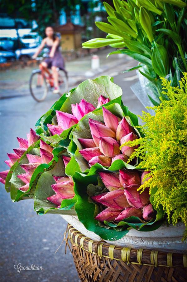 Chùm ảnh đẹp nức lòng những gánh hàng hoa chỉ Hà Nội mới có